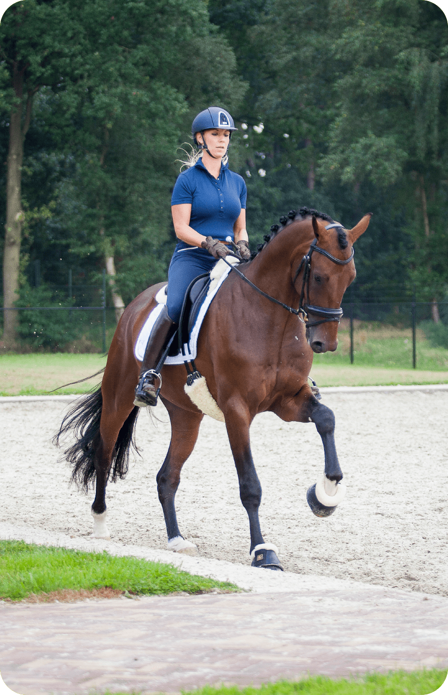 _VISIE-HORSE-DYNAMICS-METHODE-EN-BEHANDELING- Yoni Blom rijdt op een bruin paard die ze traint als onderdeel van haar unieke behandelmethode.