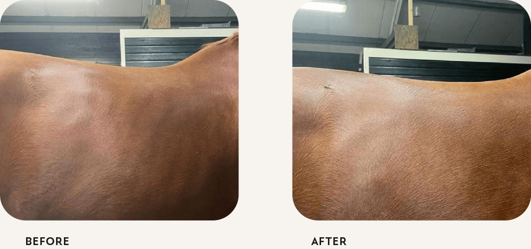 before-after