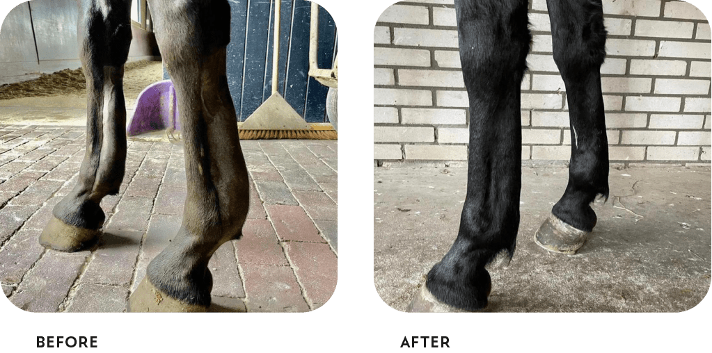 case-before-after