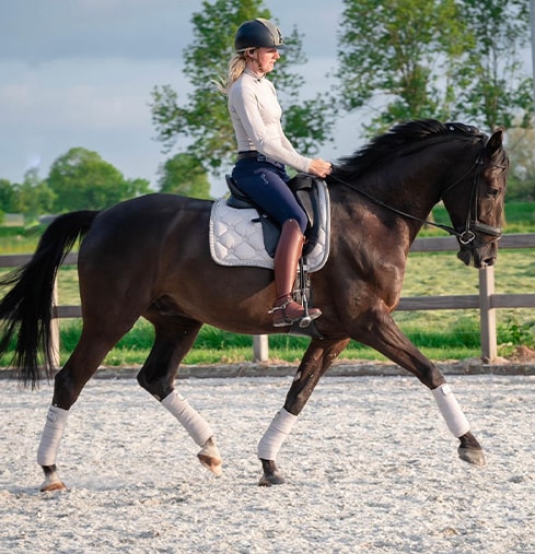 debbie-van-der-geest Debbie van der Geest op haar prachtige zwarte dressuurpaard in ontspanning