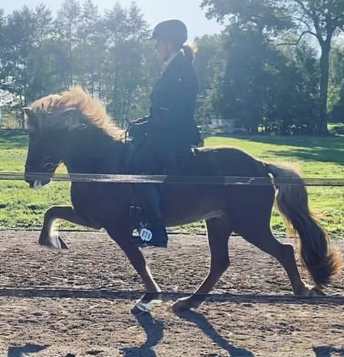 marijn